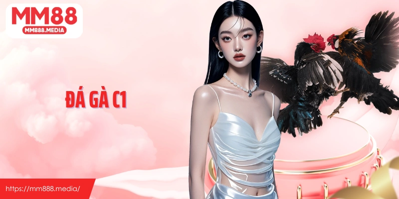 Đá gà C1